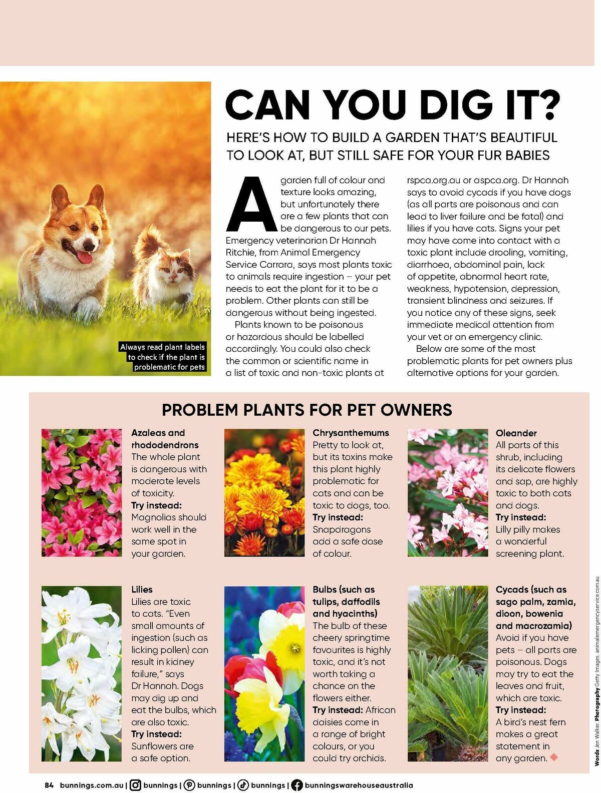 Bunnings Warehouse Magazine September Catalogues from 1 September