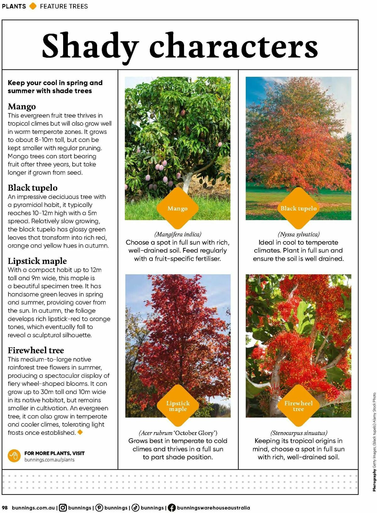 Bunnings Warehouse Magazine September Catalogues from 1 September