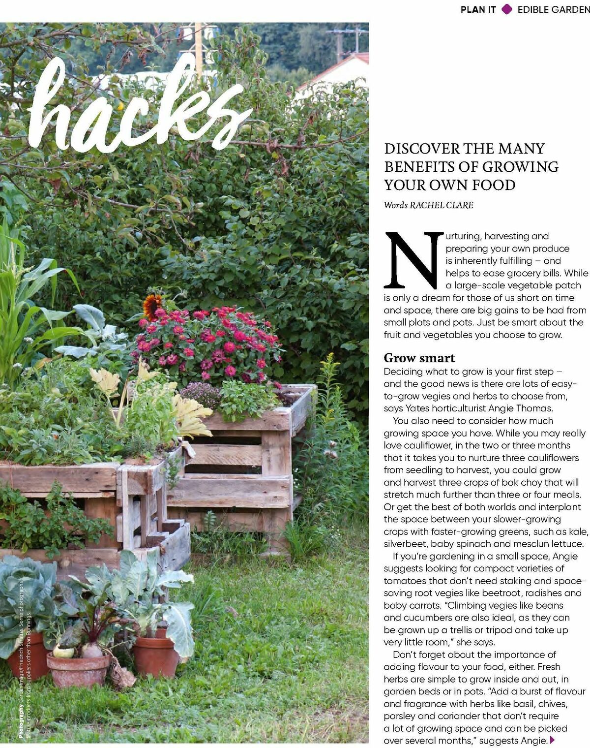 Bunnings Warehouse Magazine October Catalogues from 1 October