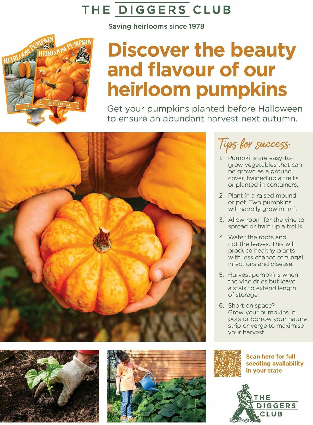 Bunnings Warehouse Magazine October Catalogues from 1 October