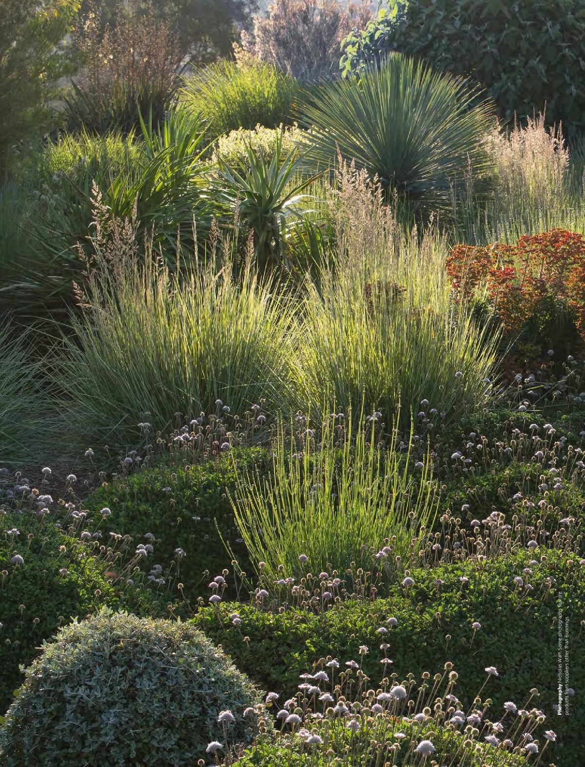 Bunnings Warehouse Magazine November Catalogues from 1 November