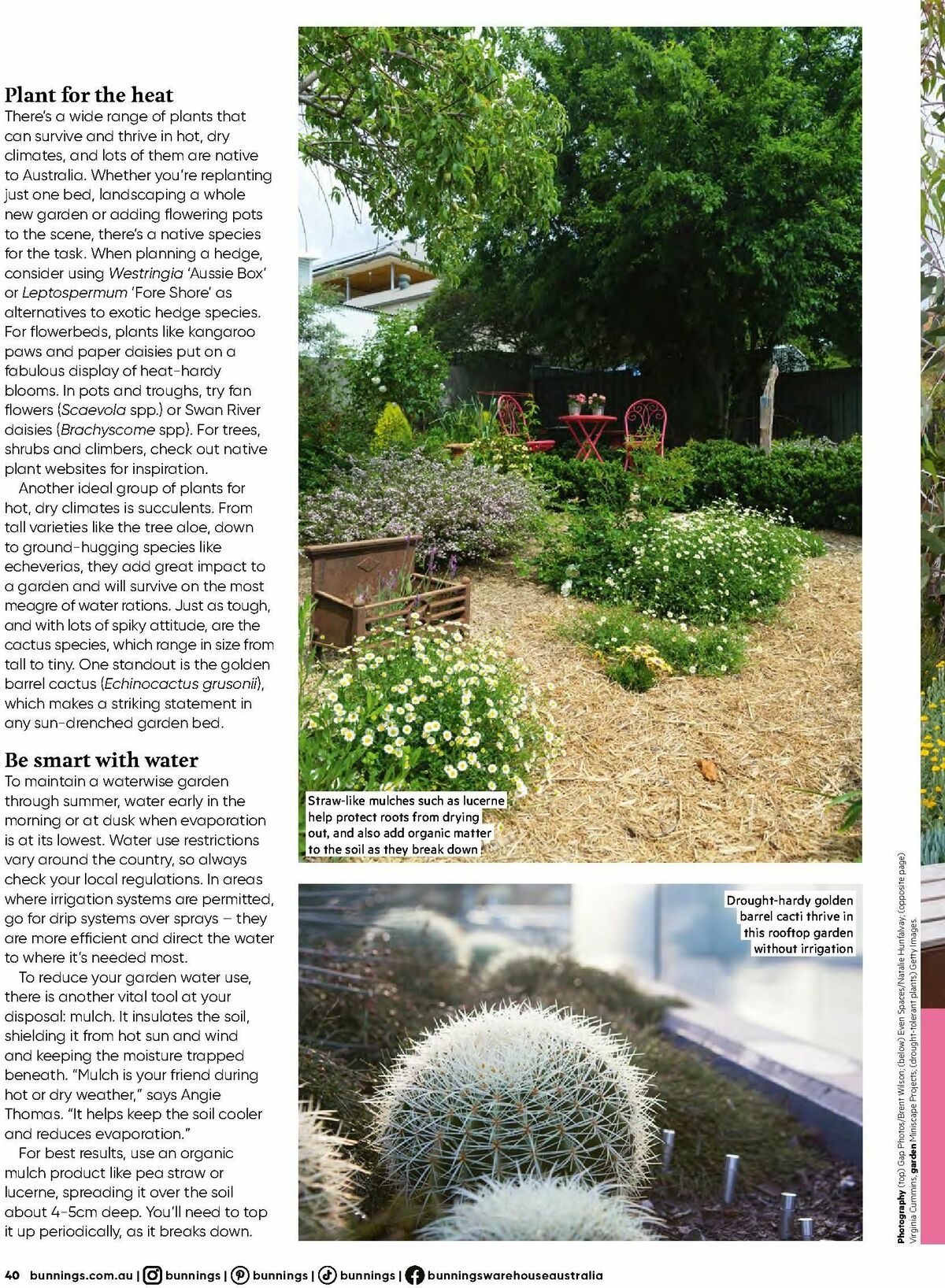 Bunnings Warehouse Magazine November Catalogues from 1 November