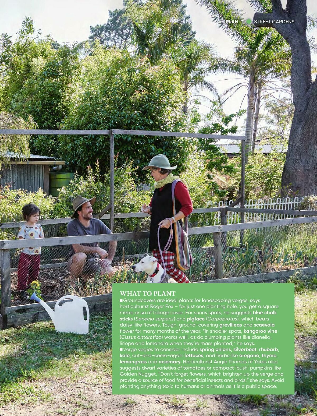 Bunnings Warehouse Magazine December Catalogues from 1 December