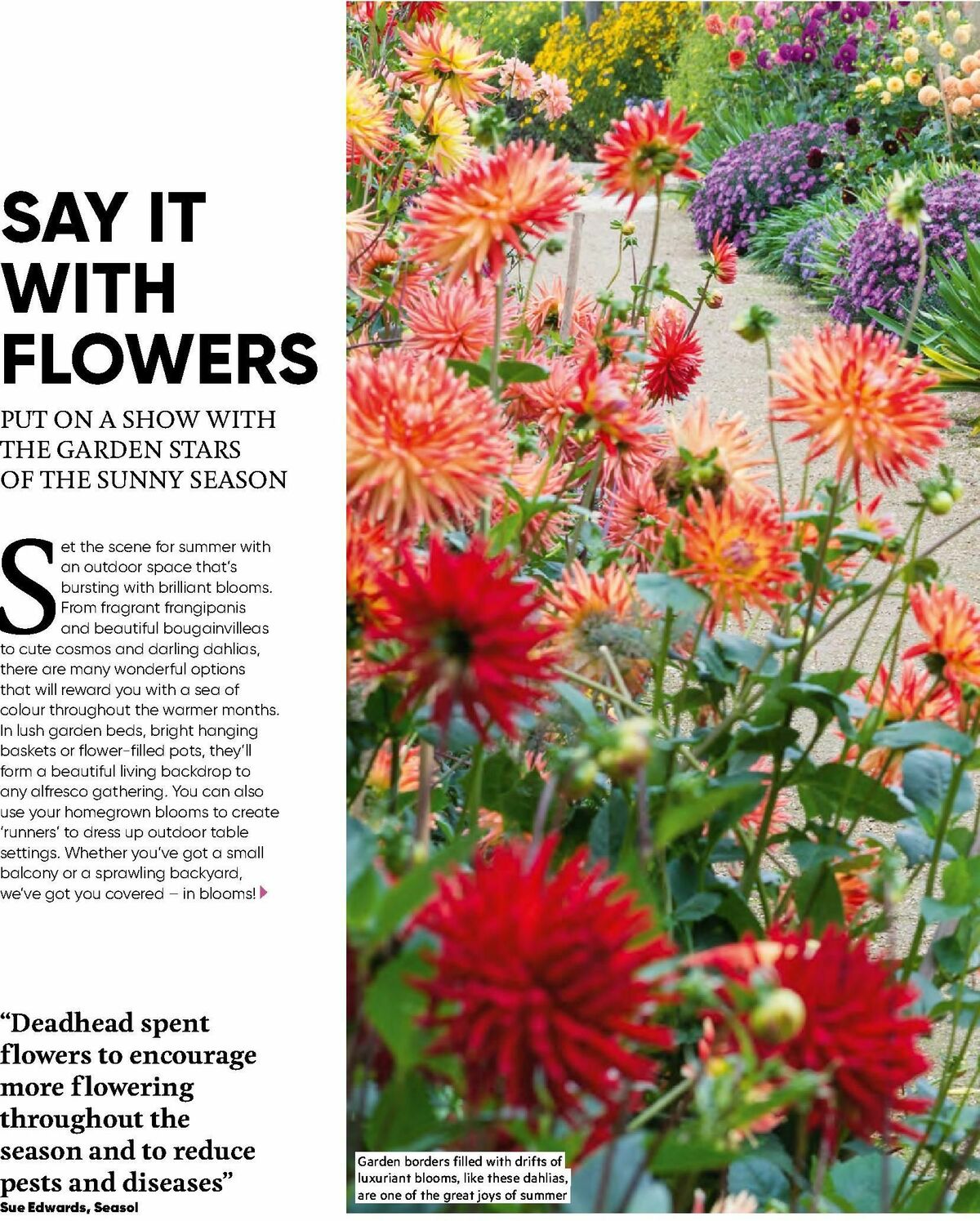 Bunnings Warehouse Magazine December Catalogues from 1 December