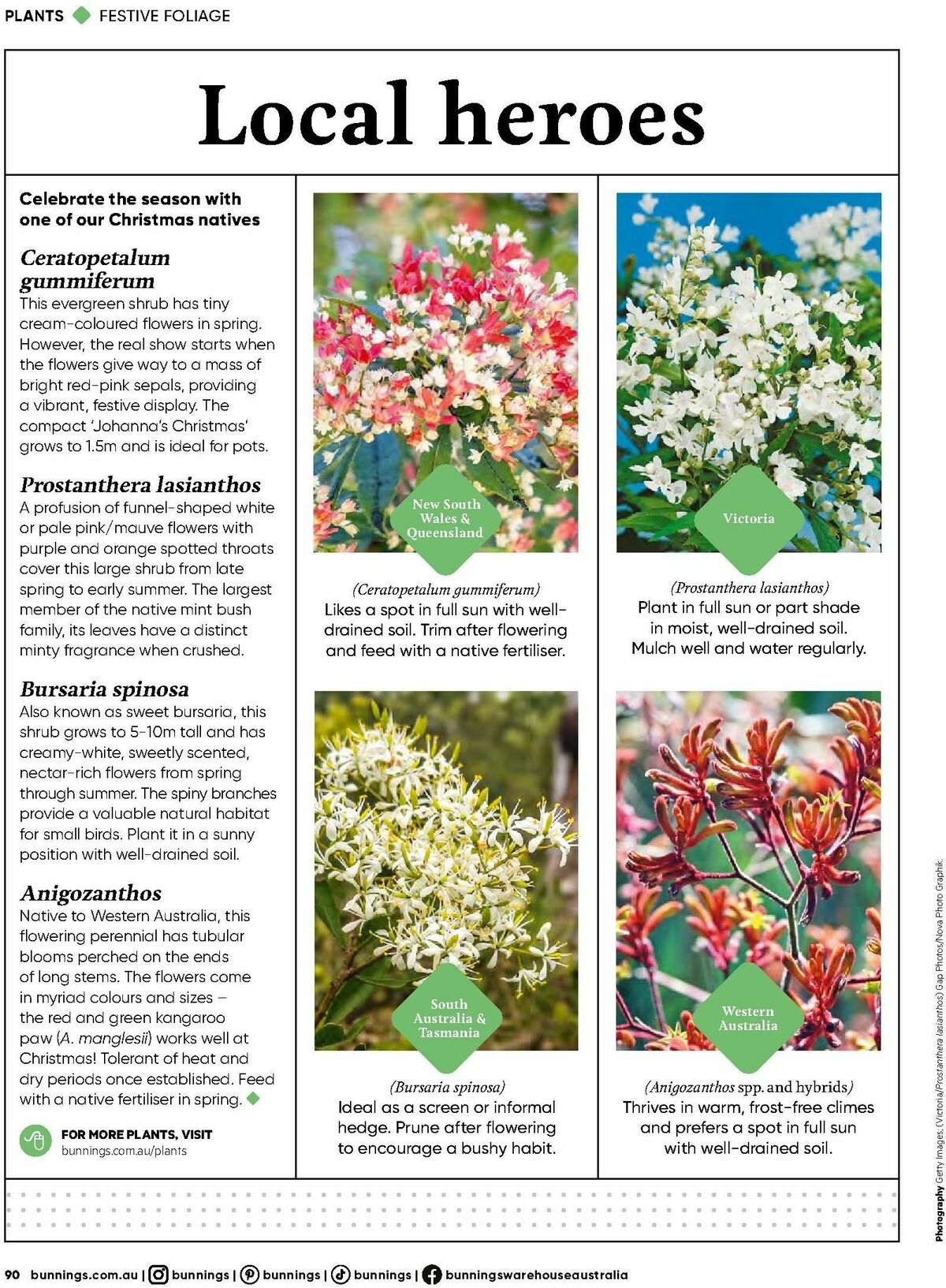 Bunnings Warehouse Magazine December Catalogues from 1 December