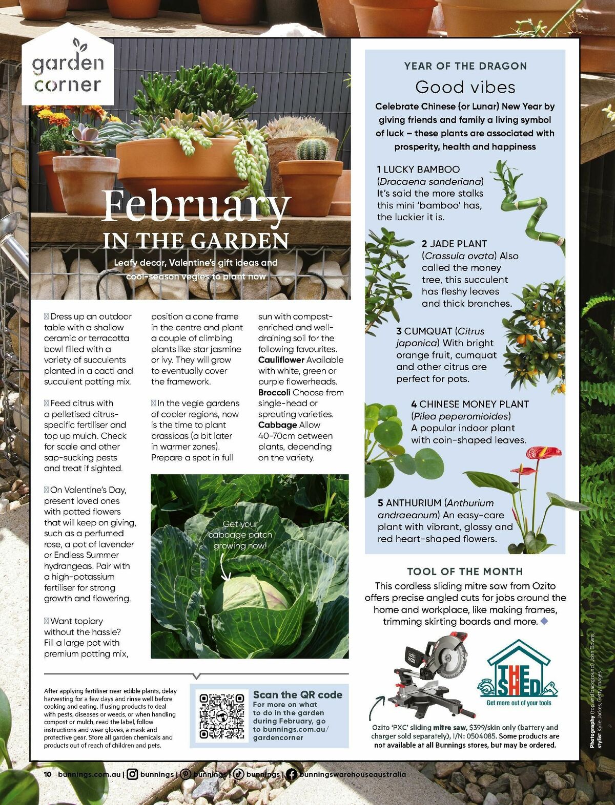 Bunnings Warehouse Magazine February Catalogues from 1 February