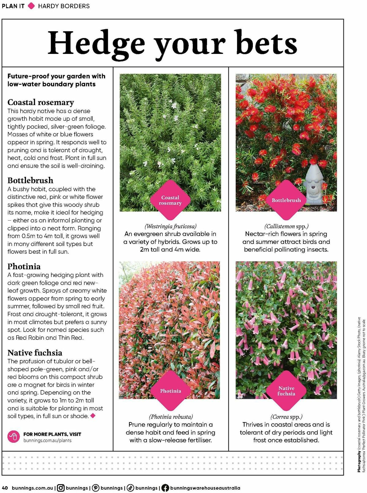 Bunnings Warehouse Magazine February Catalogues from 1 February