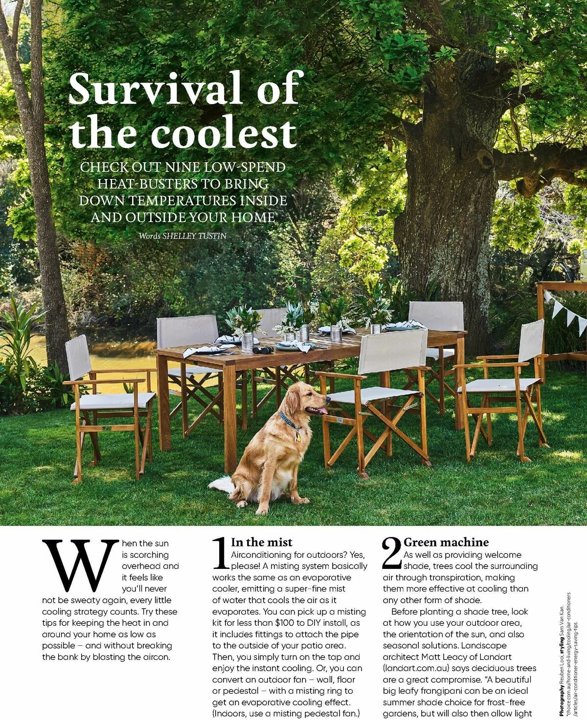 Bunnings Warehouse Magazine February Catalogues from 1 February