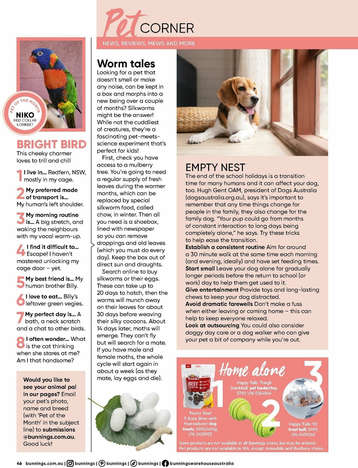 Bunnings Warehouse Magazine February Catalogues from 1 February