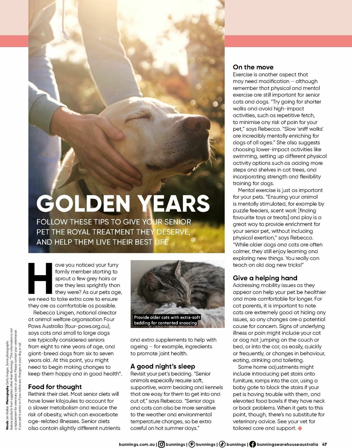 Bunnings Warehouse Magazine February Catalogues from 1 February