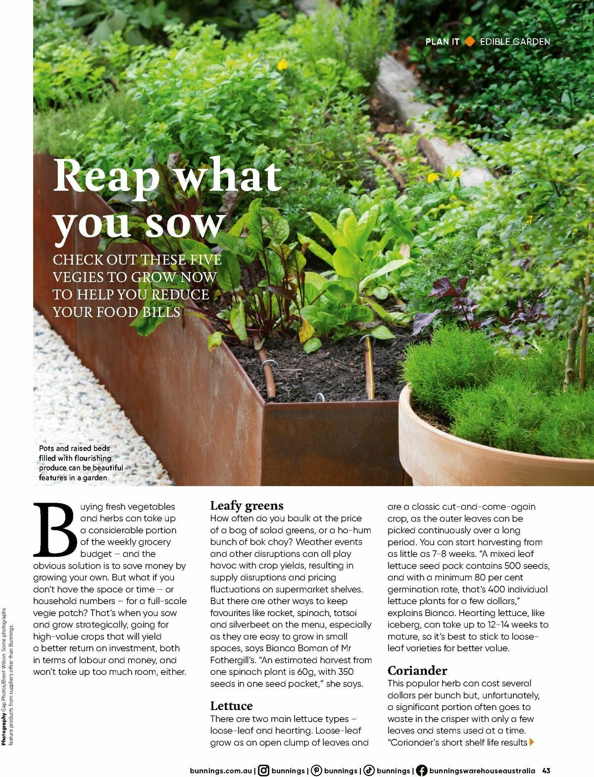 Bunnings Warehouse Magazine March Catalogues from 1 March