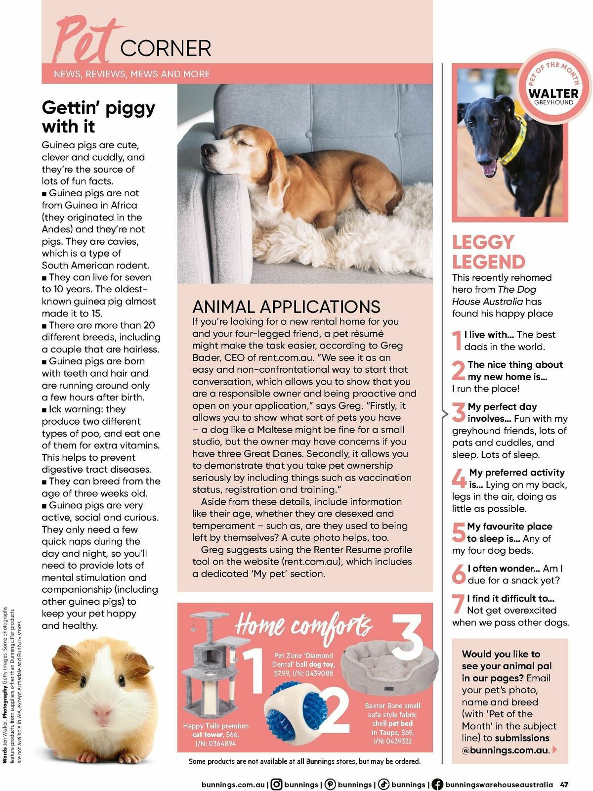 Bunnings Warehouse Magazine March Catalogues from 1 March