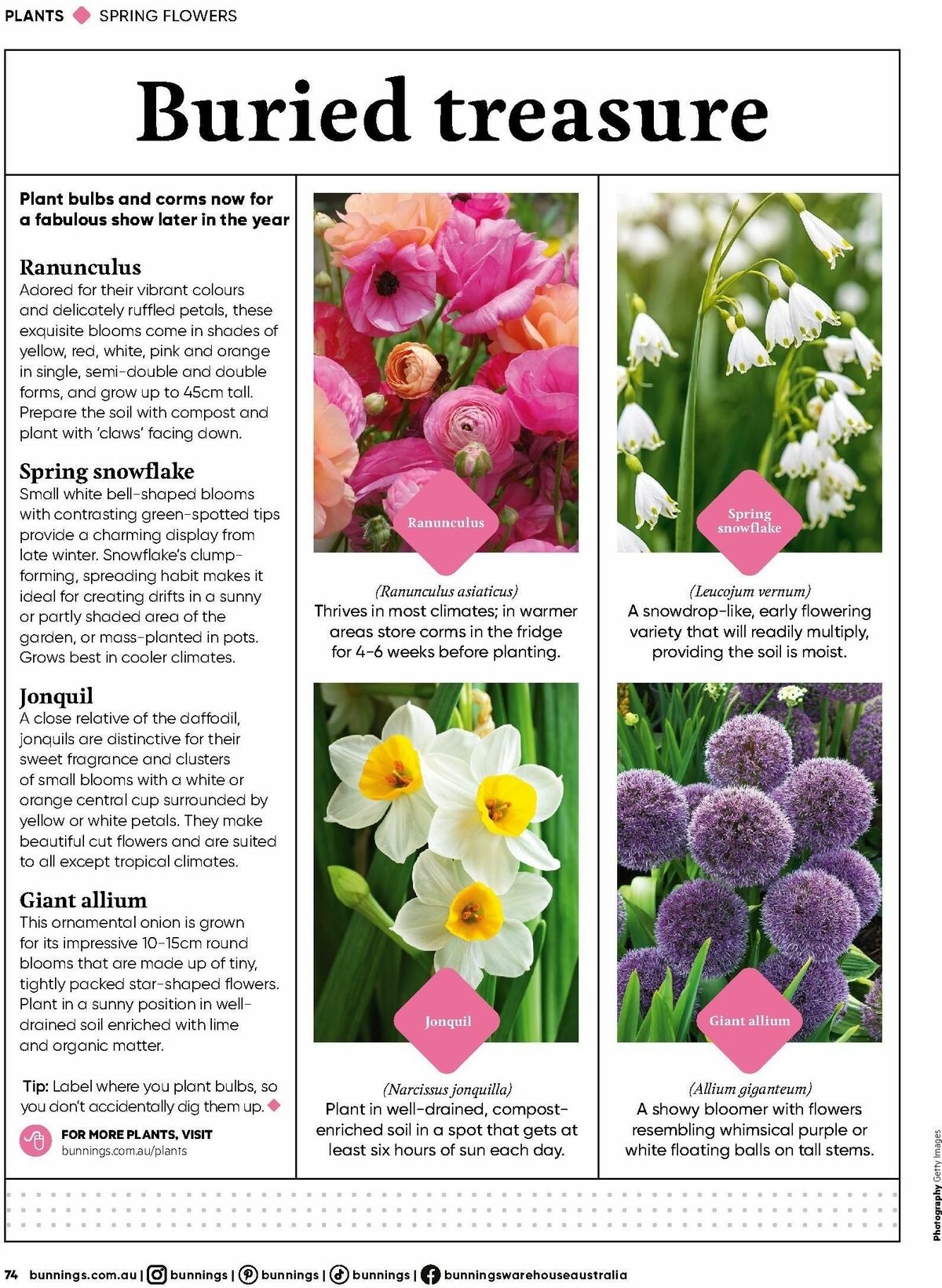 Bunnings Warehouse Magazine March Catalogues from 1 March