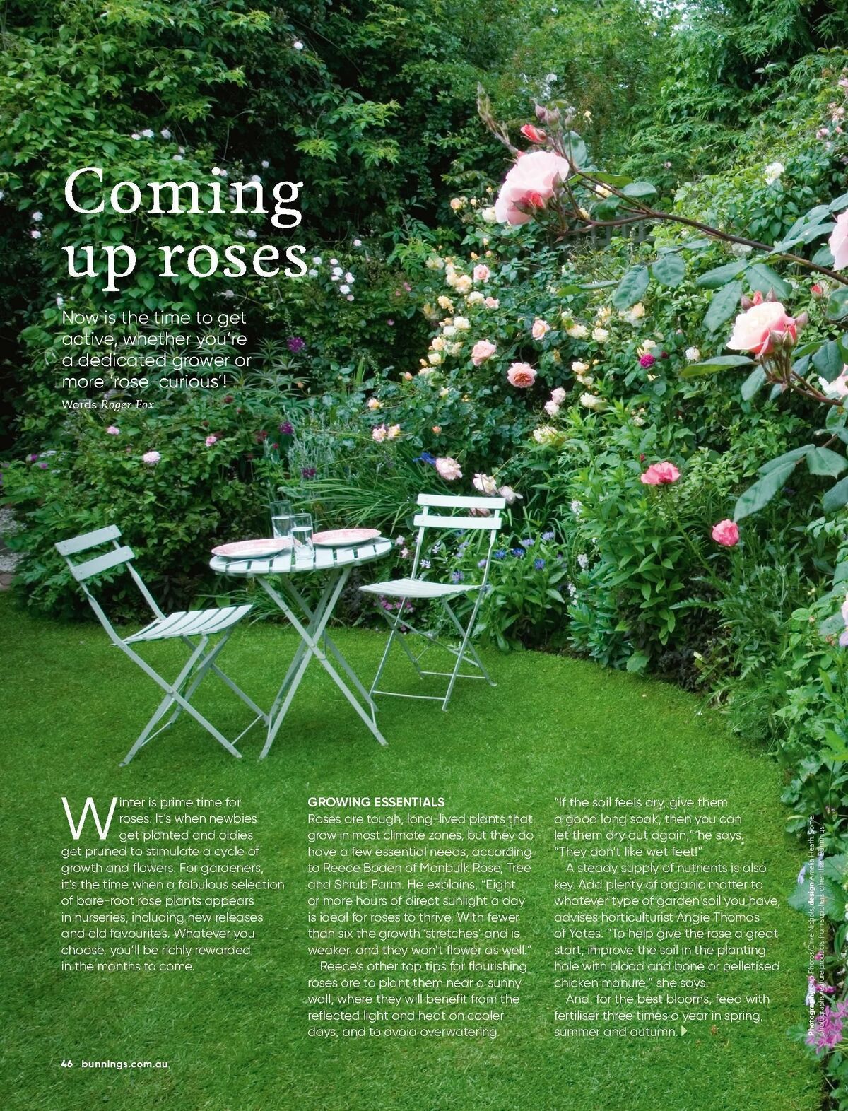 Bunnings Warehouse Magazine July Catalogues from 1 July