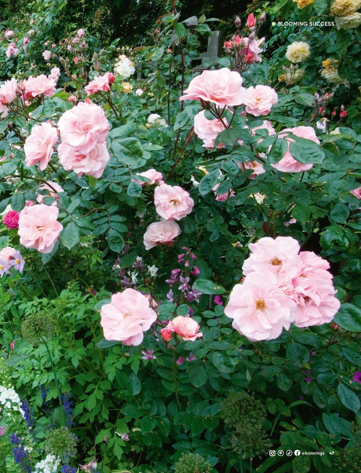 Bunnings Warehouse Magazine July Catalogues from 1 July