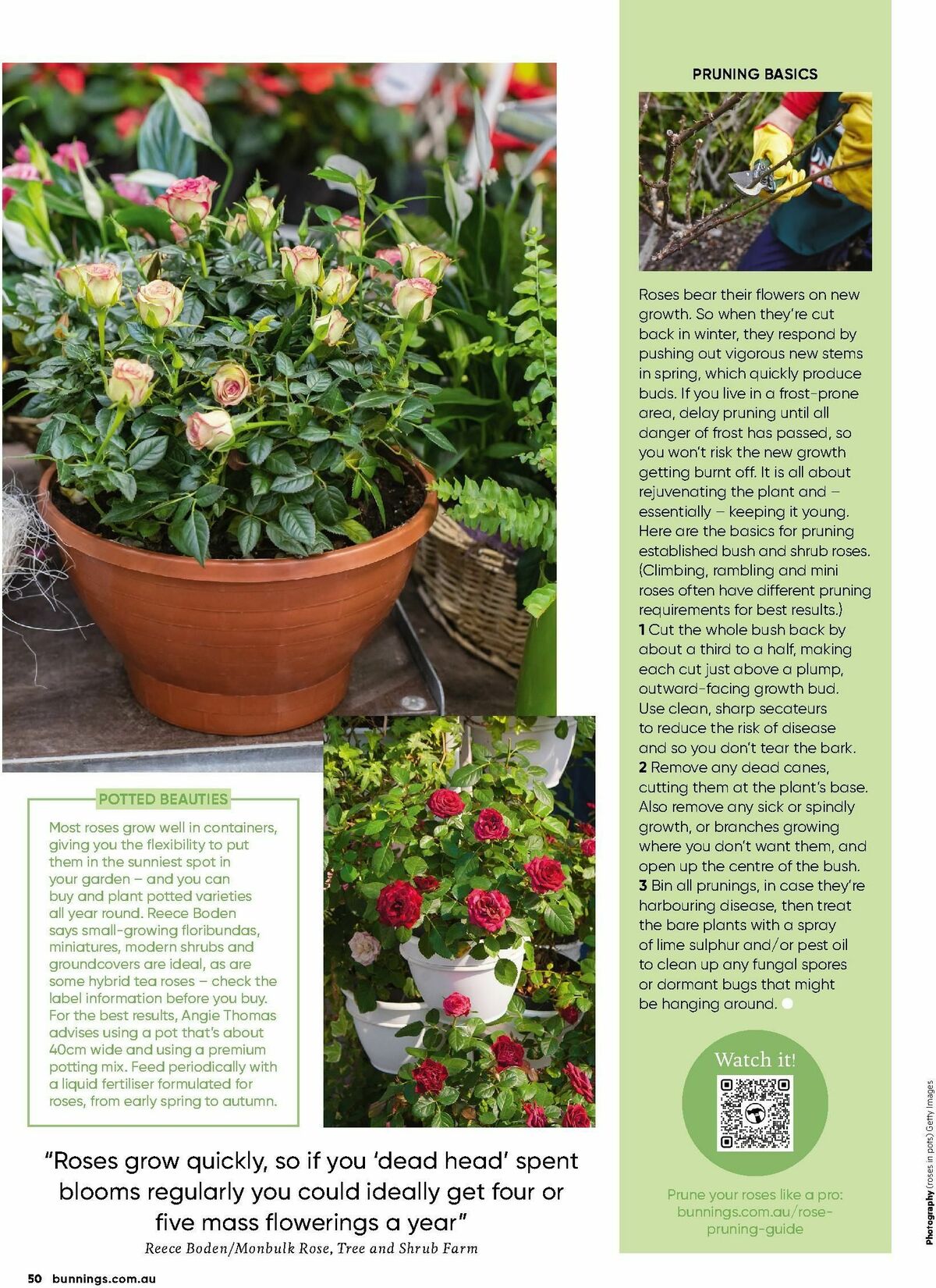 Bunnings Warehouse Magazine July Catalogues from 1 July