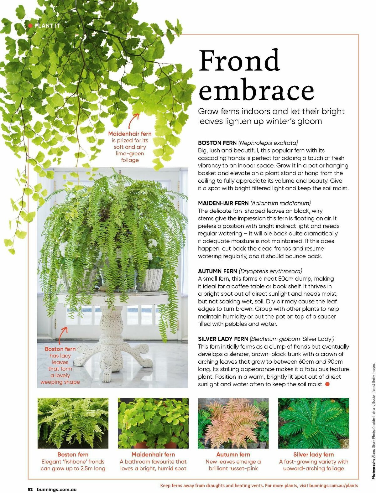 Bunnings Warehouse Magazine July Catalogues from 1 July