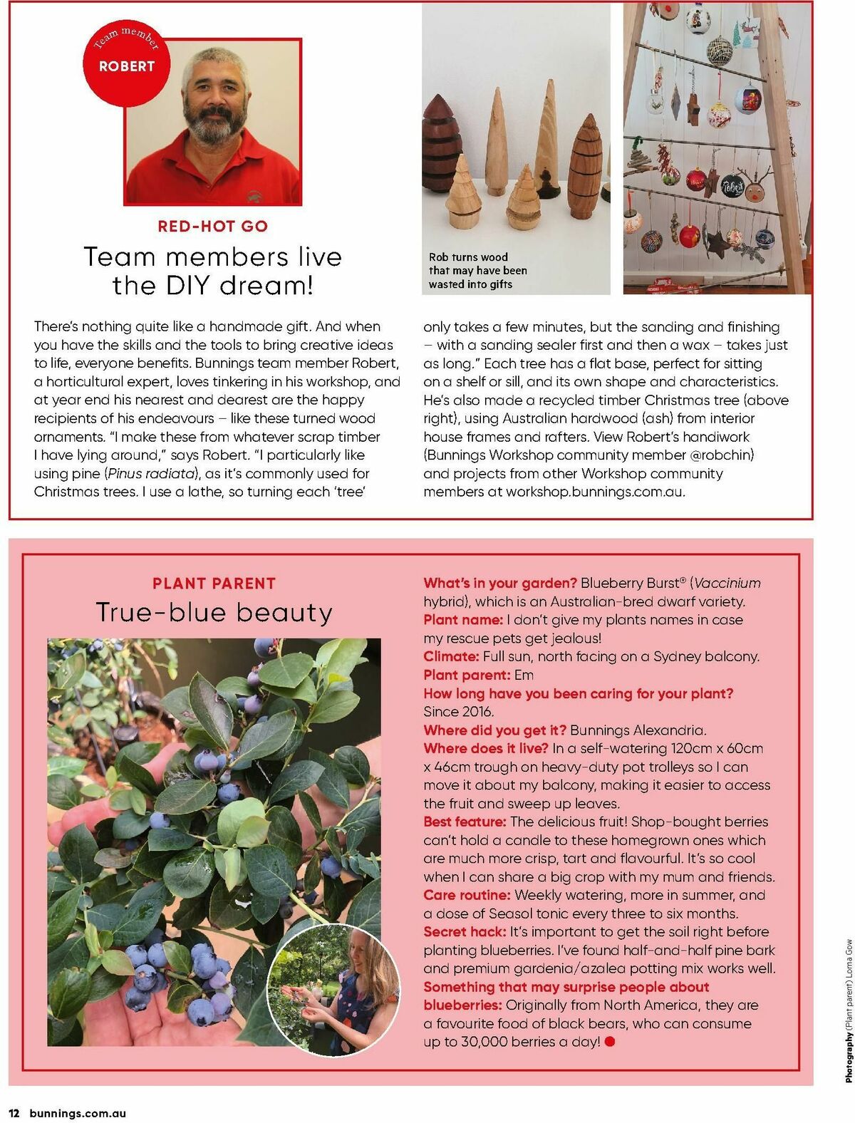 Bunnings Warehouse Magazine December Catalogues from 1 December