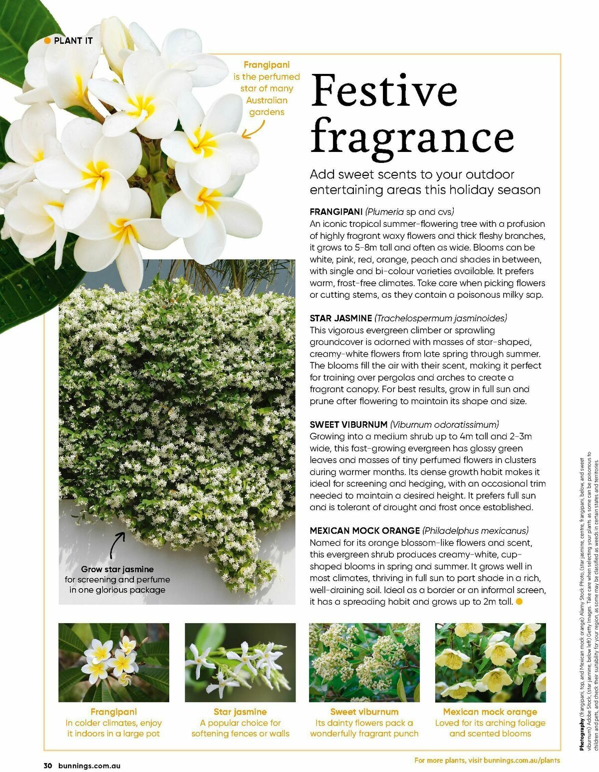 Bunnings Warehouse Magazine December Catalogues from 1 December