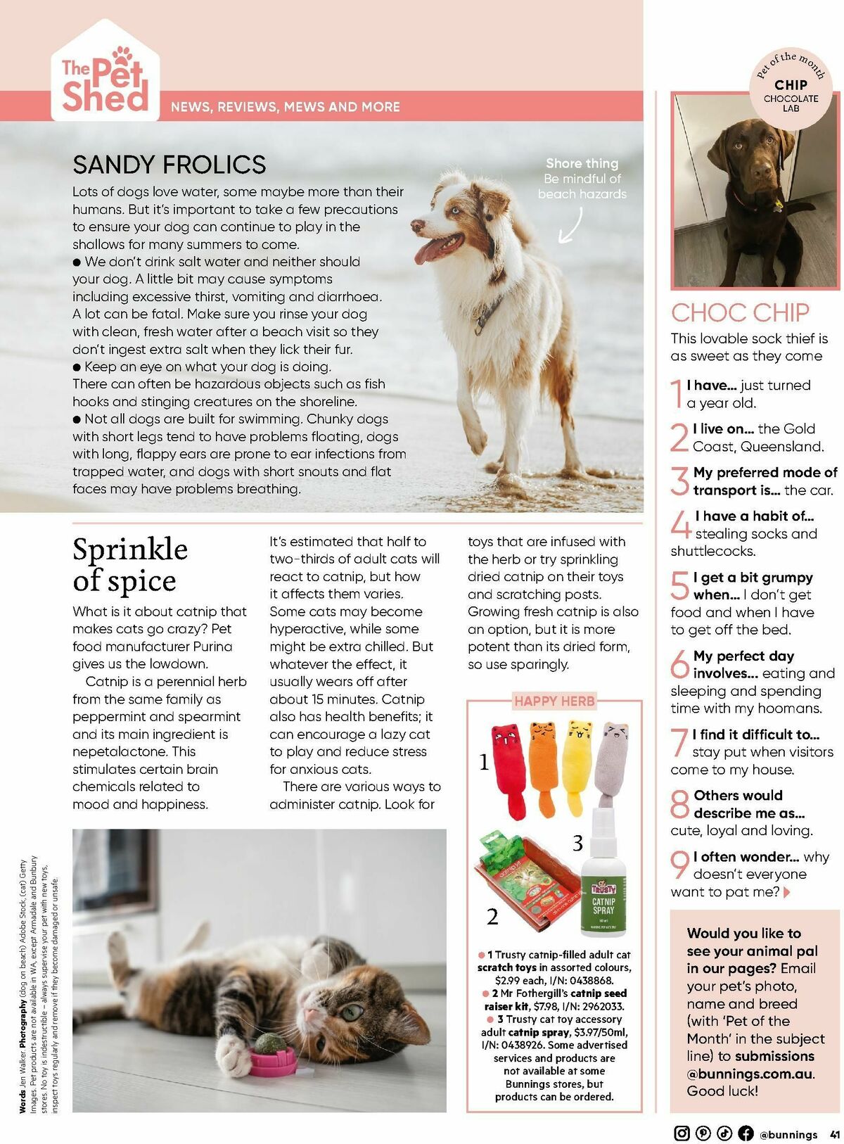 Bunnings Warehouse Magazine December Catalogues from 1 December