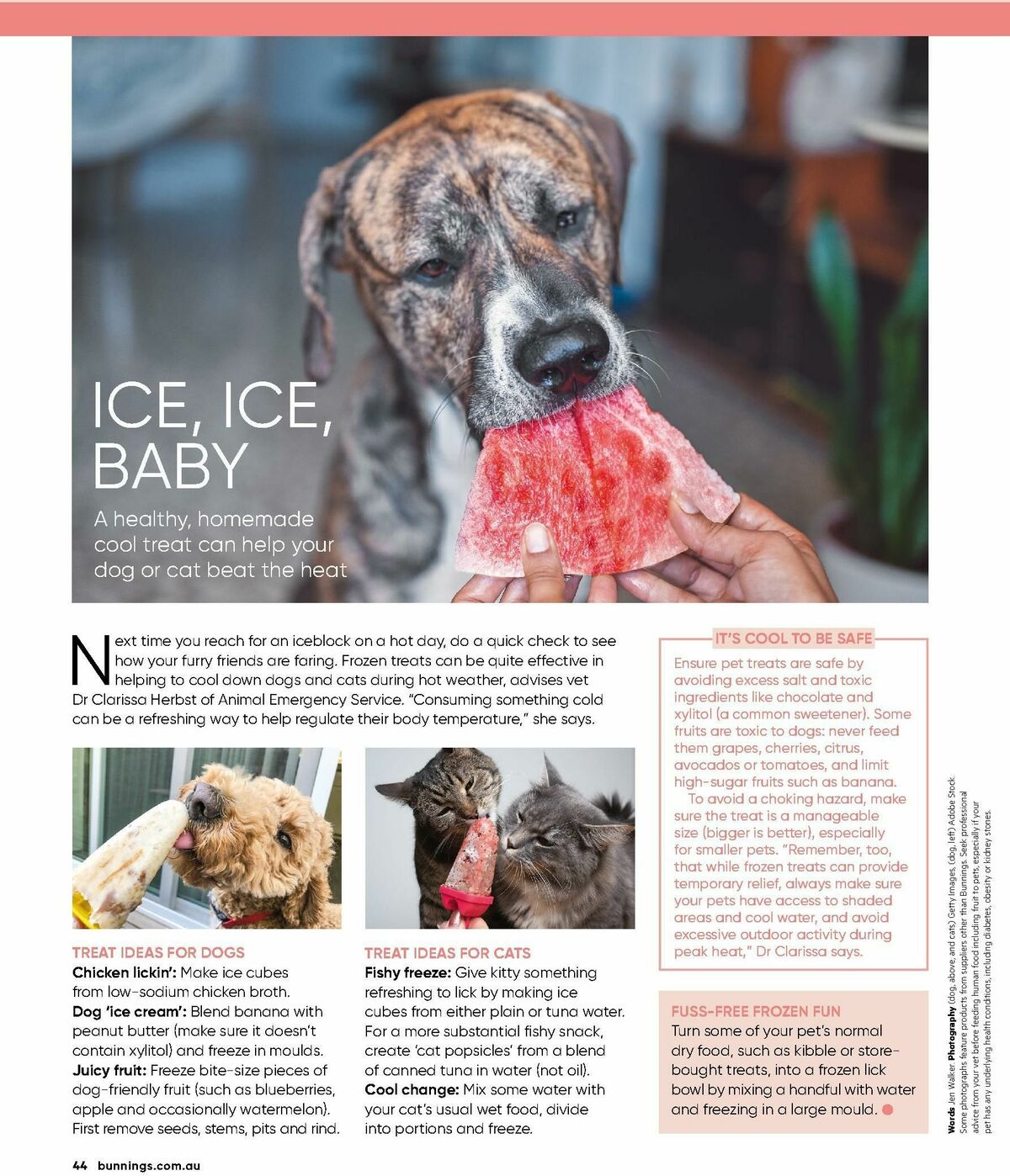 Bunnings Warehouse Magazine December Catalogues from 1 December