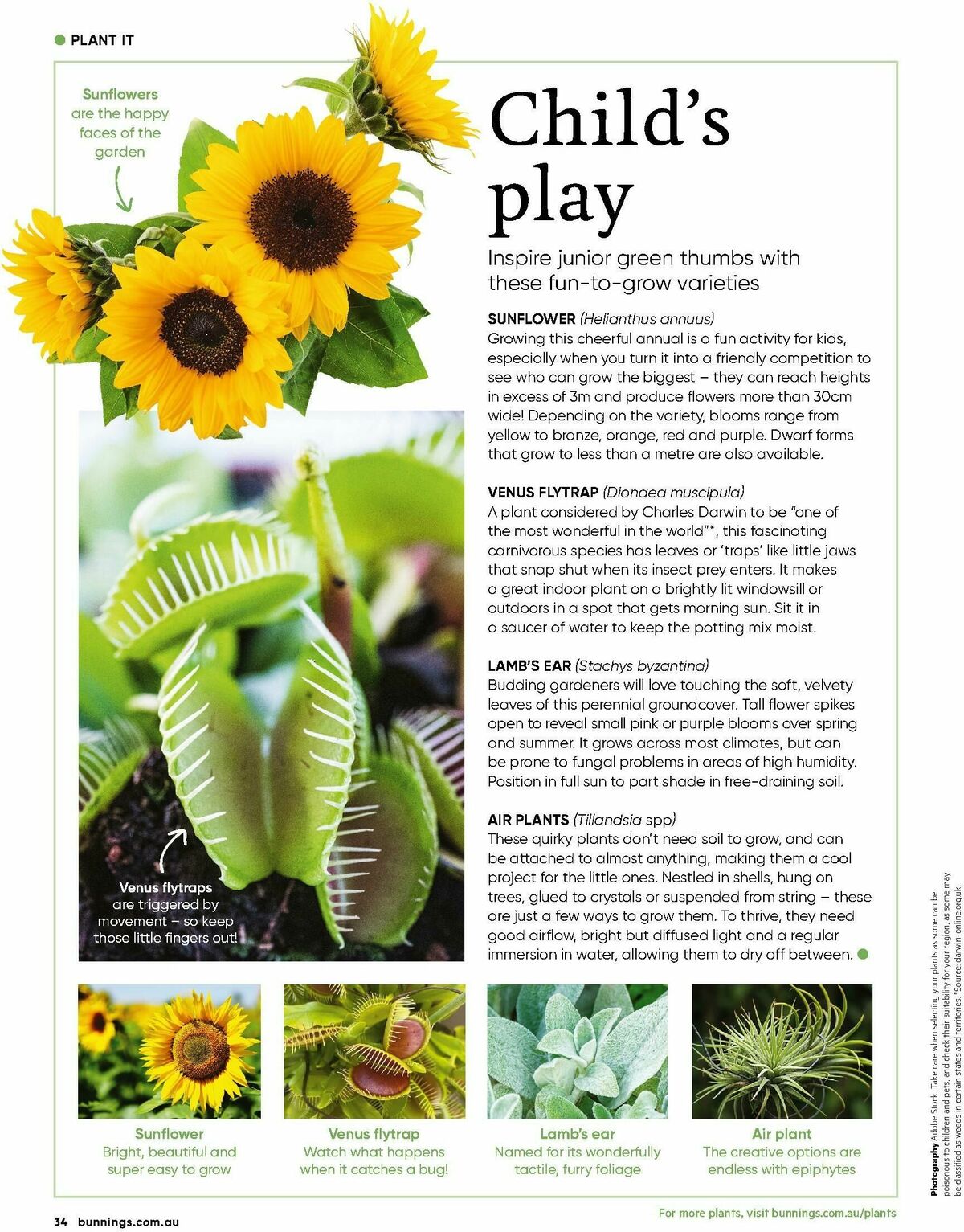 Bunnings Warehouse Magazine February Catalogues from 1 February