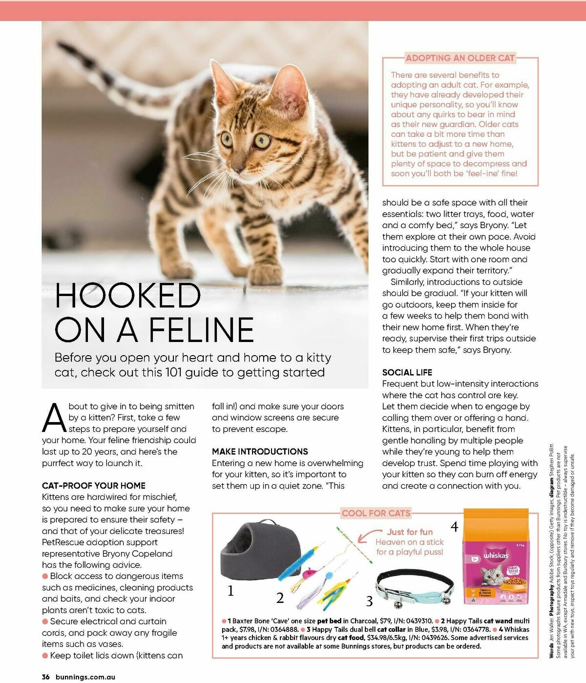 Bunnings Warehouse Magazine February Catalogues from 1 February