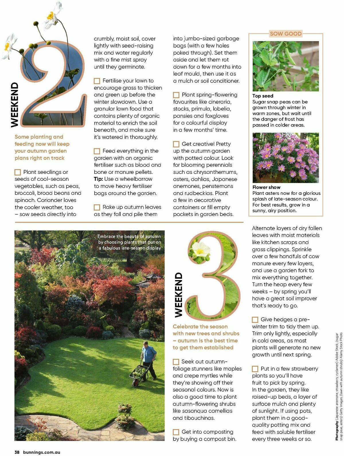 Bunnings Warehouse Magazine March Catalogues from 1 March