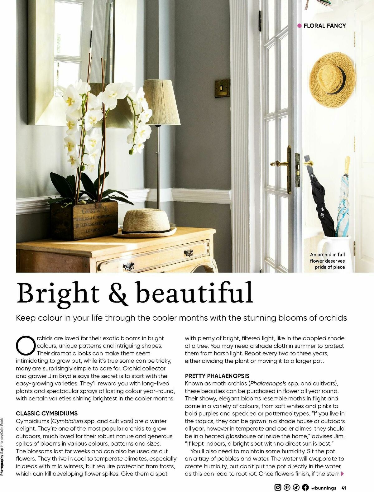 Bunnings Warehouse Magazine March Catalogues from 1 March