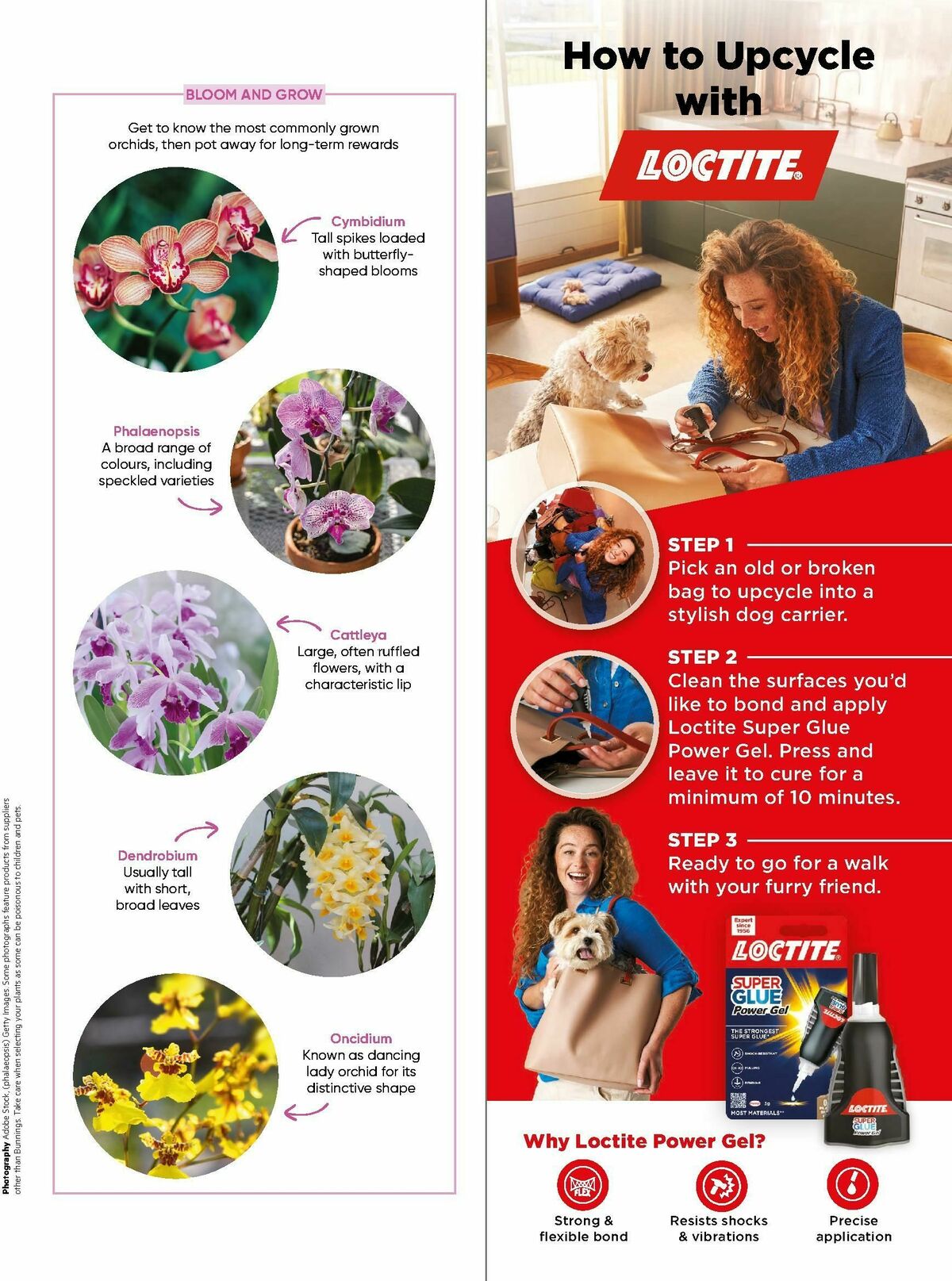Bunnings Warehouse Magazine March Catalogues from 1 March