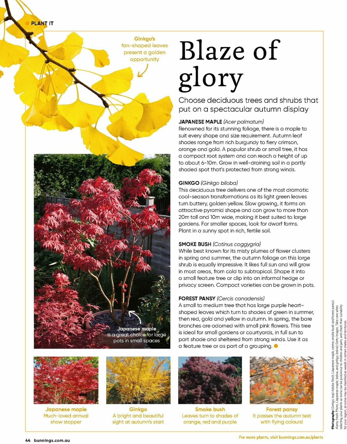 Bunnings Warehouse Magazine March Catalogues from 1 March