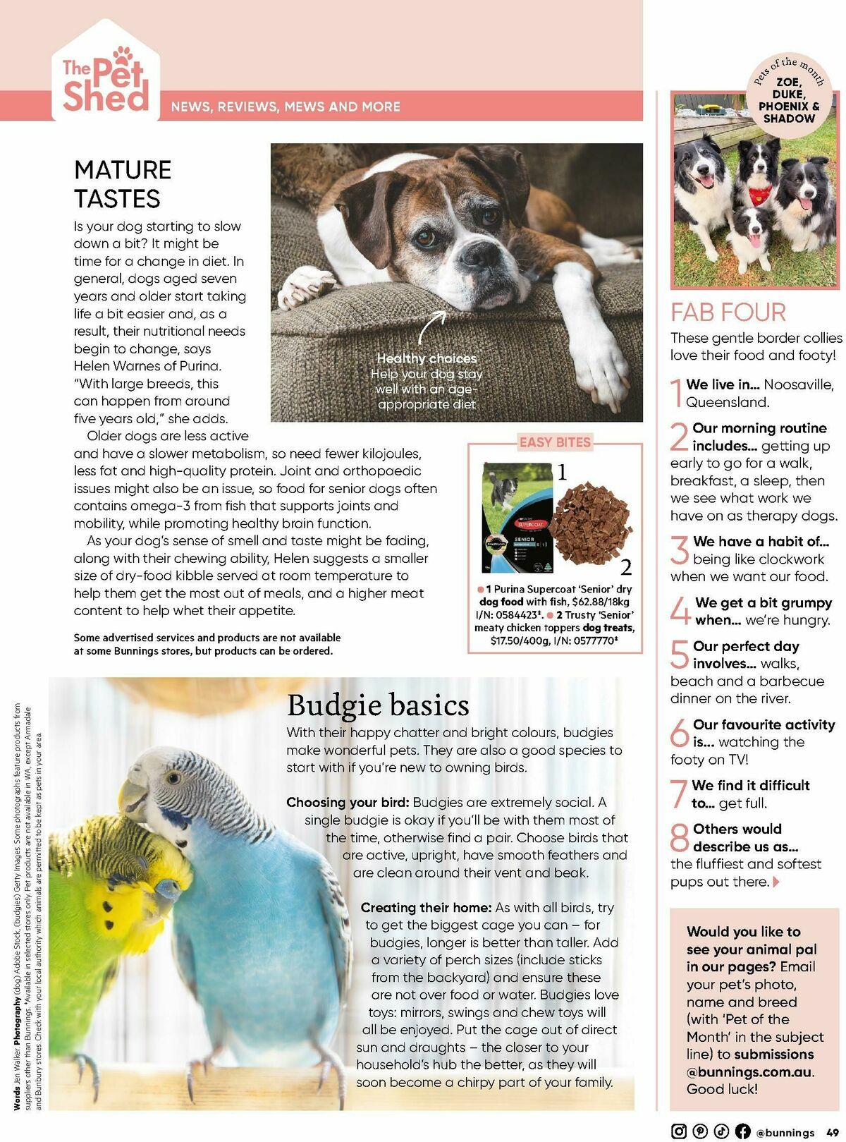 Bunnings Warehouse Magazine March Catalogues from 1 March