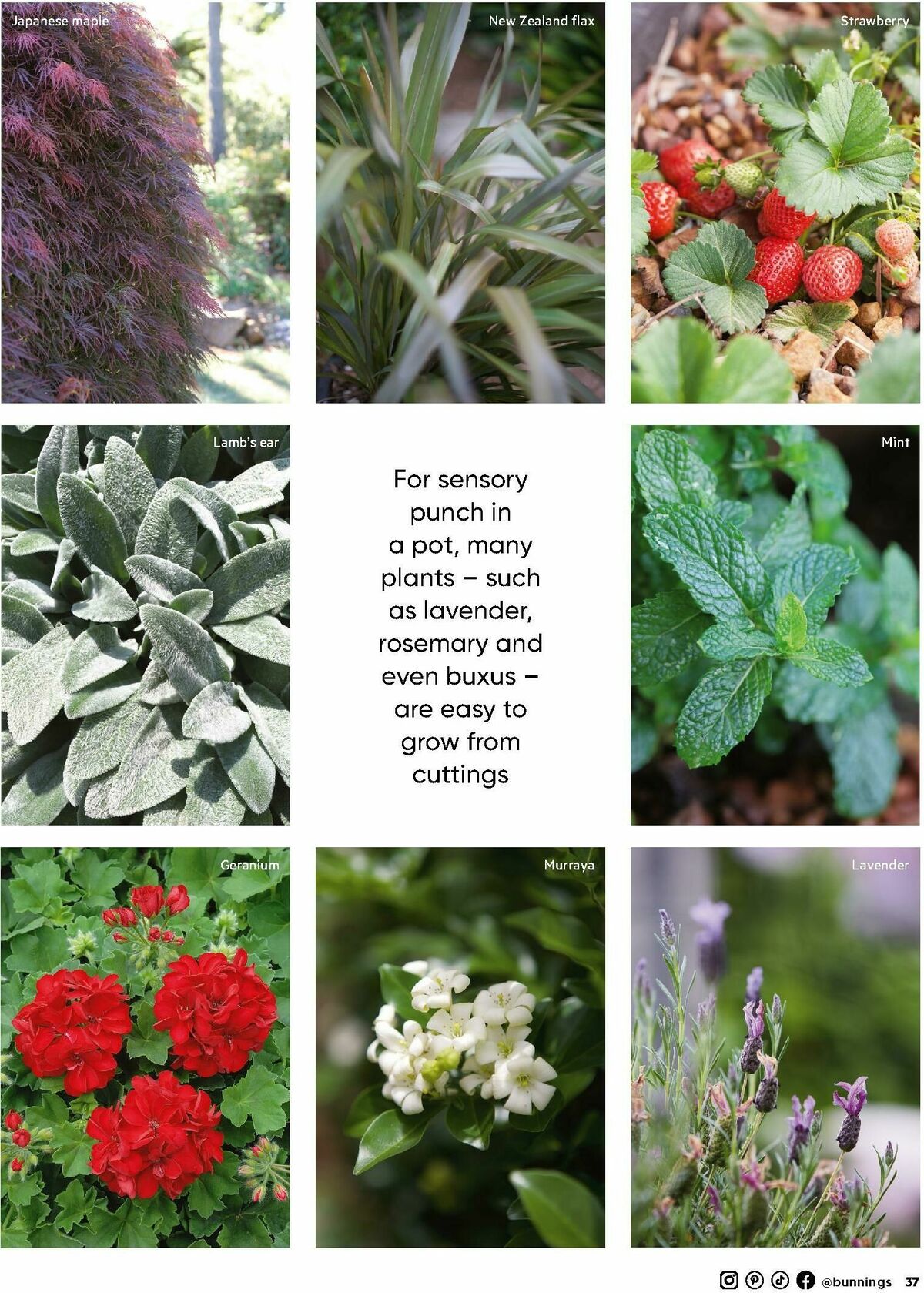 Bunnings Warehouse Magazine April Catalogues from 1 April