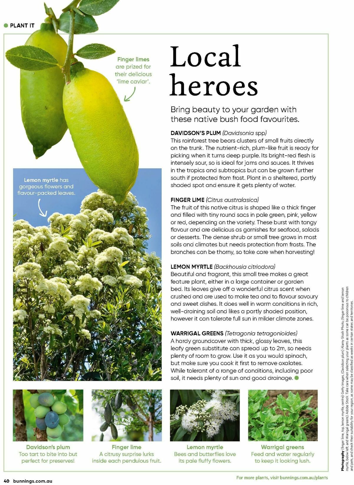 Bunnings Warehouse Magazine April Catalogues from 1 April