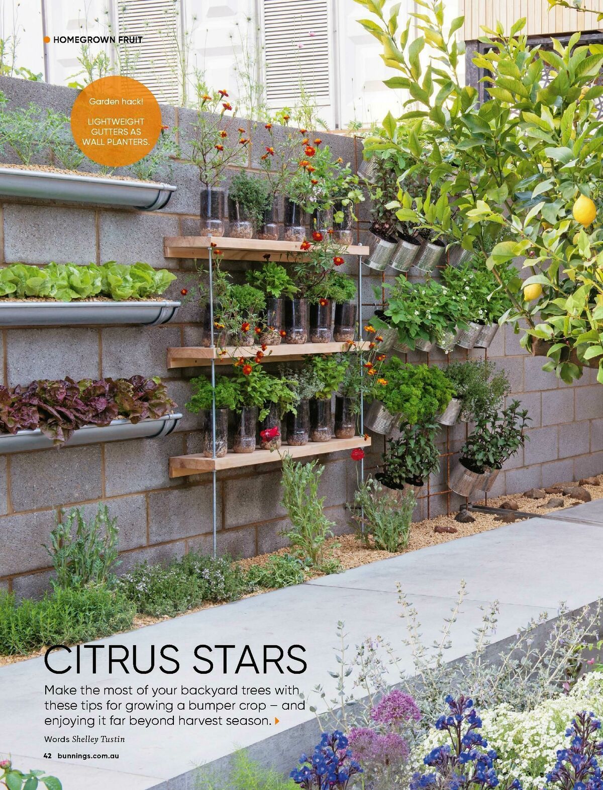 Bunnings Warehouse Magazine May/June Catalogues from 1 May