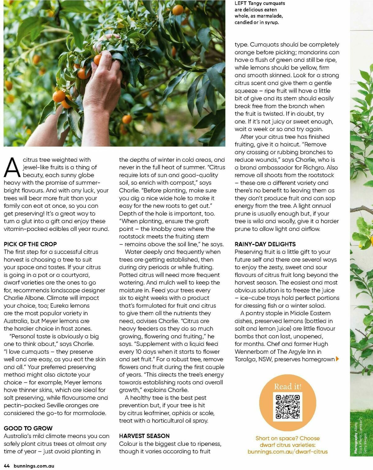 Bunnings Warehouse Magazine May/June Catalogues from 1 May