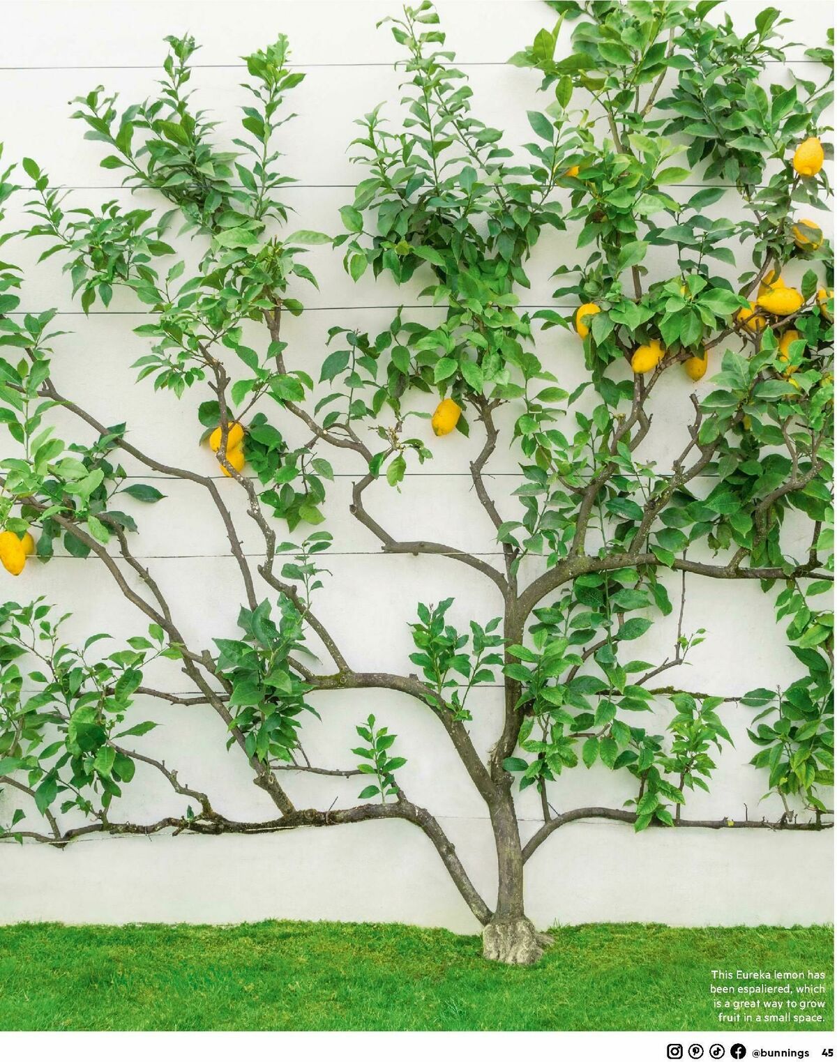 Bunnings Warehouse Magazine May/June Catalogues from 1 May