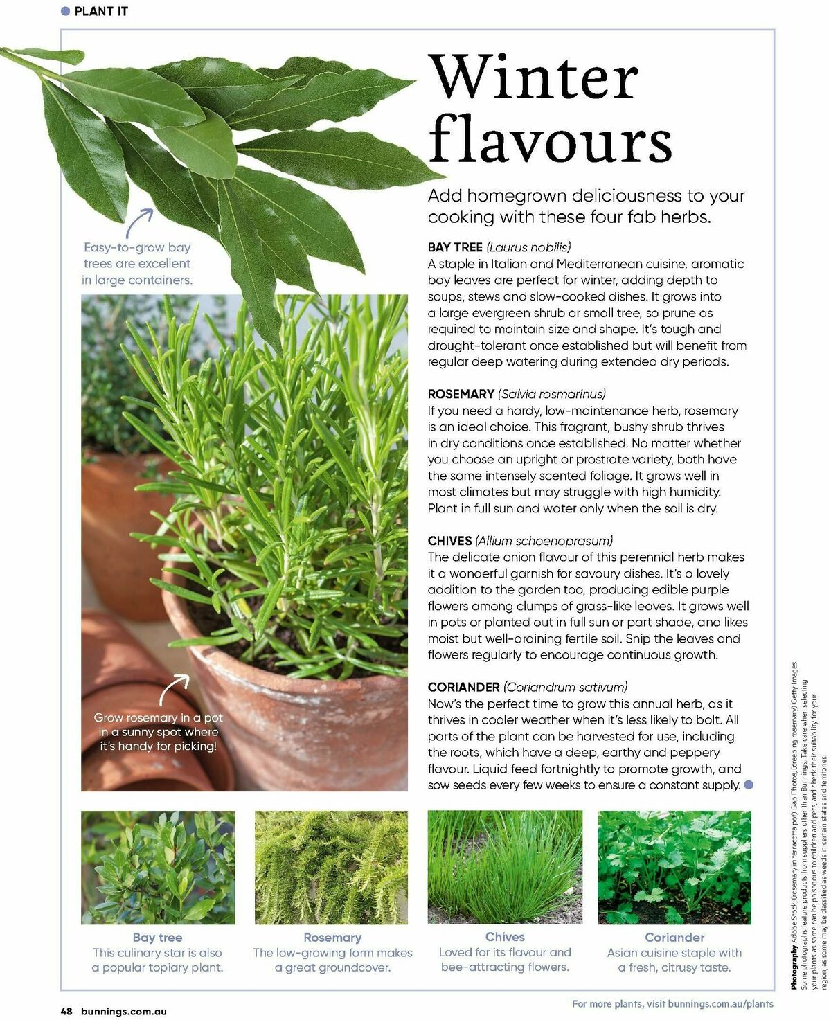 Bunnings Warehouse Magazine May/June Catalogues from 1 May