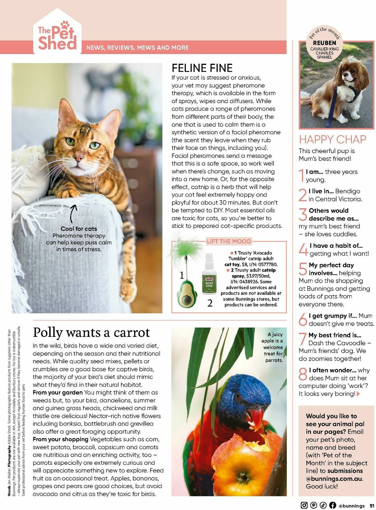 Bunnings Warehouse Magazine May/June Catalogues from 1 May