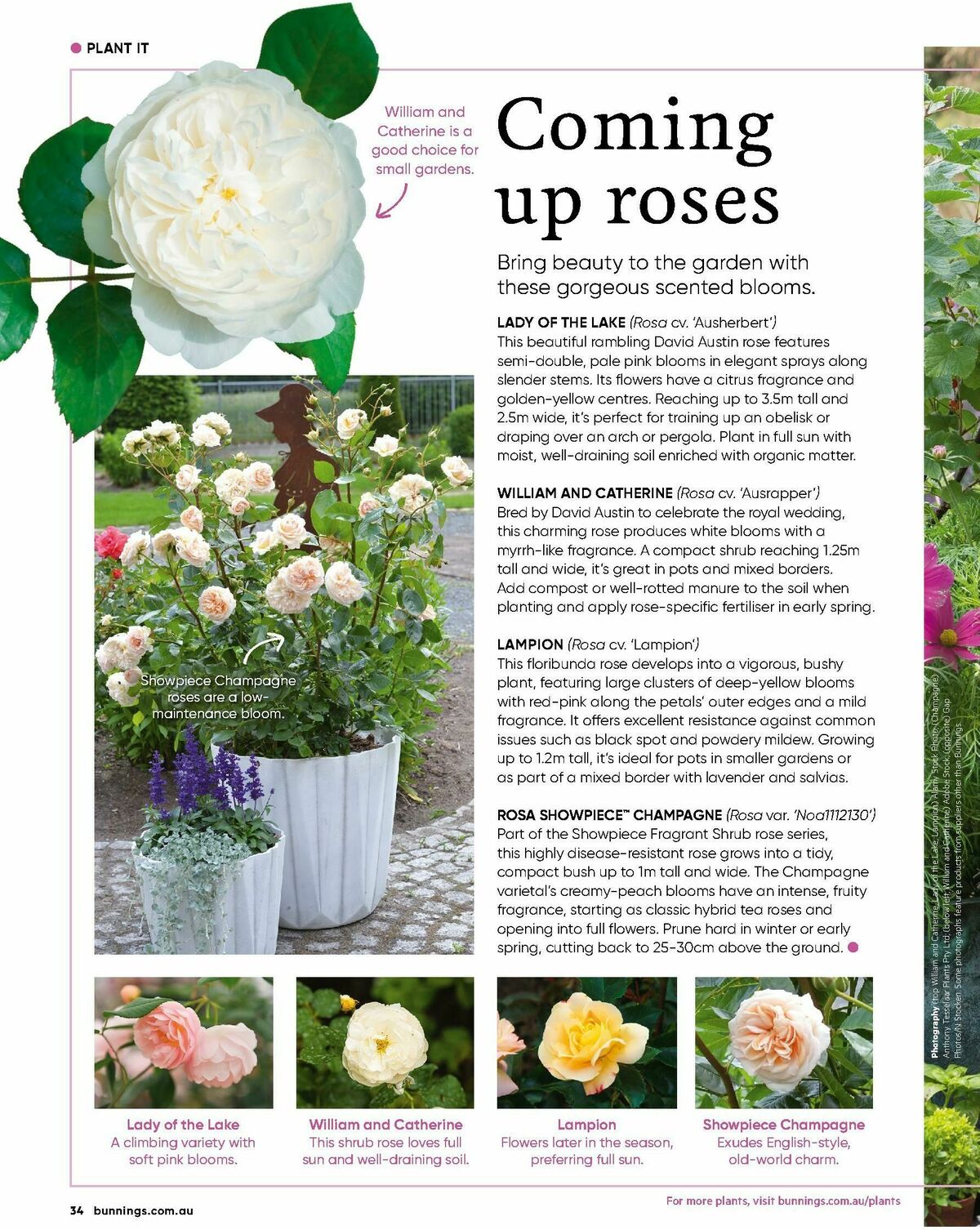 Bunnings Warehouse Magazine July Catalogues from 1 July