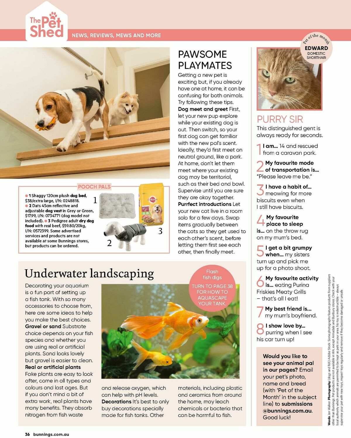 Bunnings Warehouse Magazine July Catalogues from 1 July