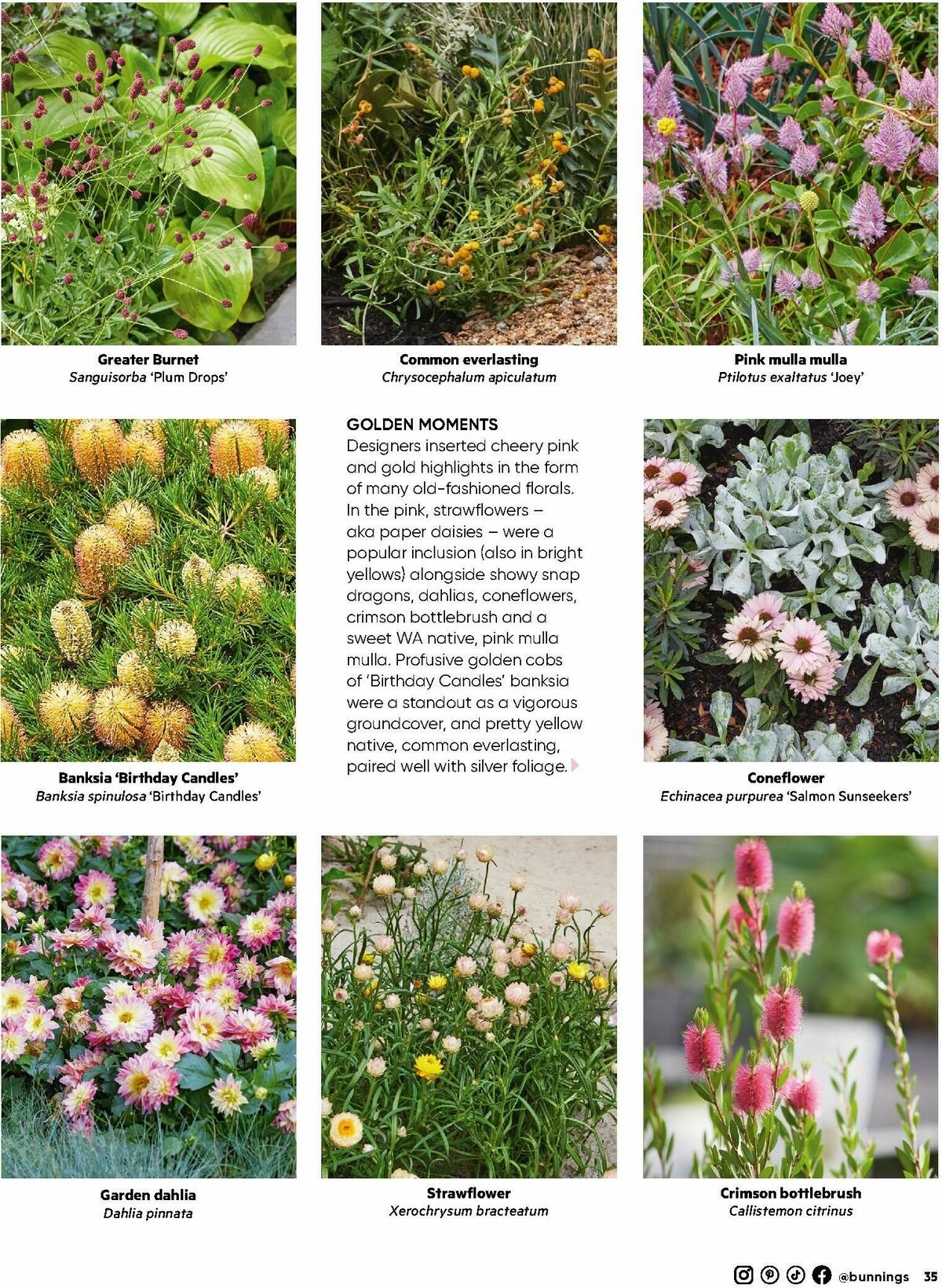 Bunnings Warehouse Magazine August Catalogues from 1 August