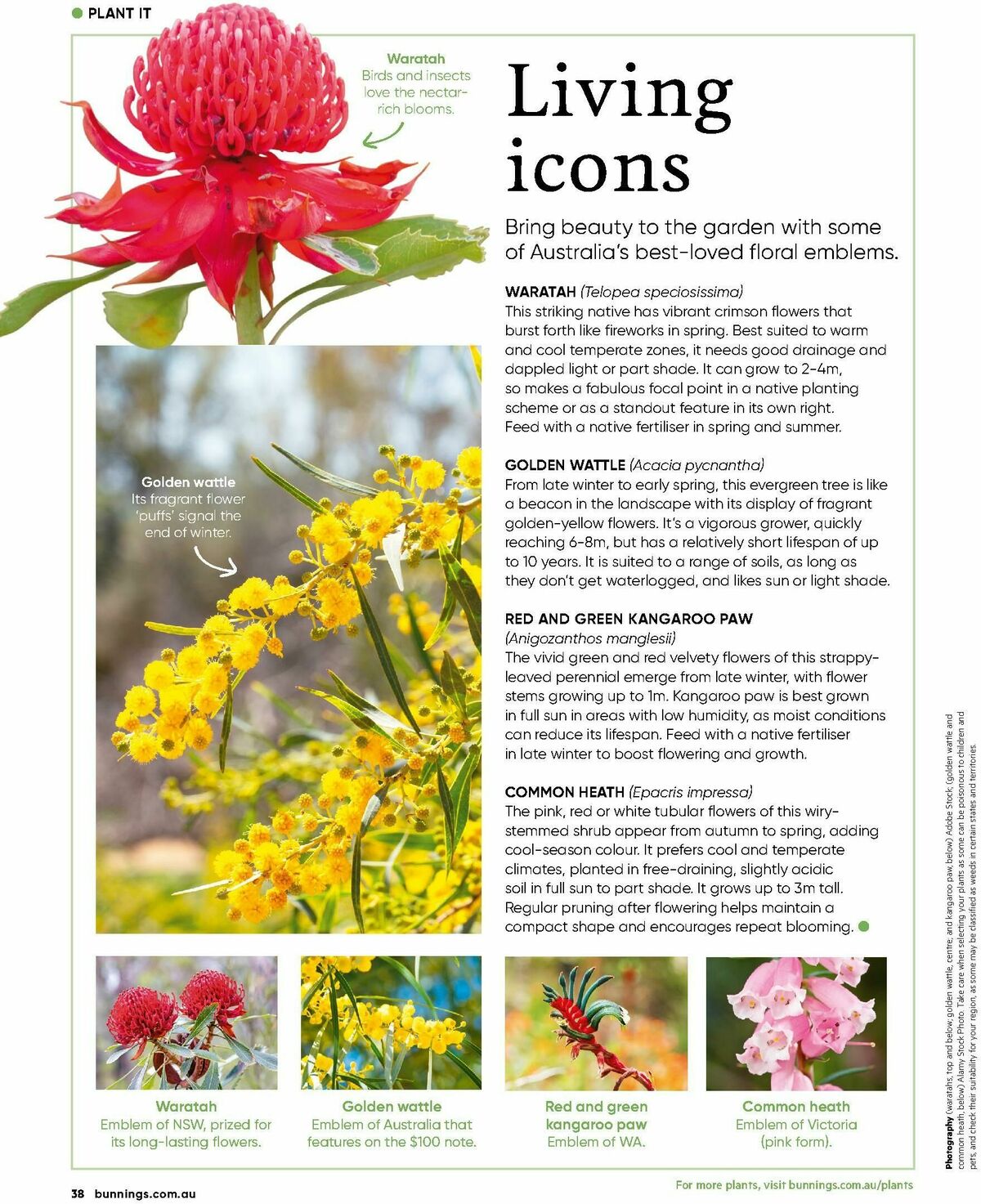 Bunnings Warehouse Magazine August Catalogues from 1 August