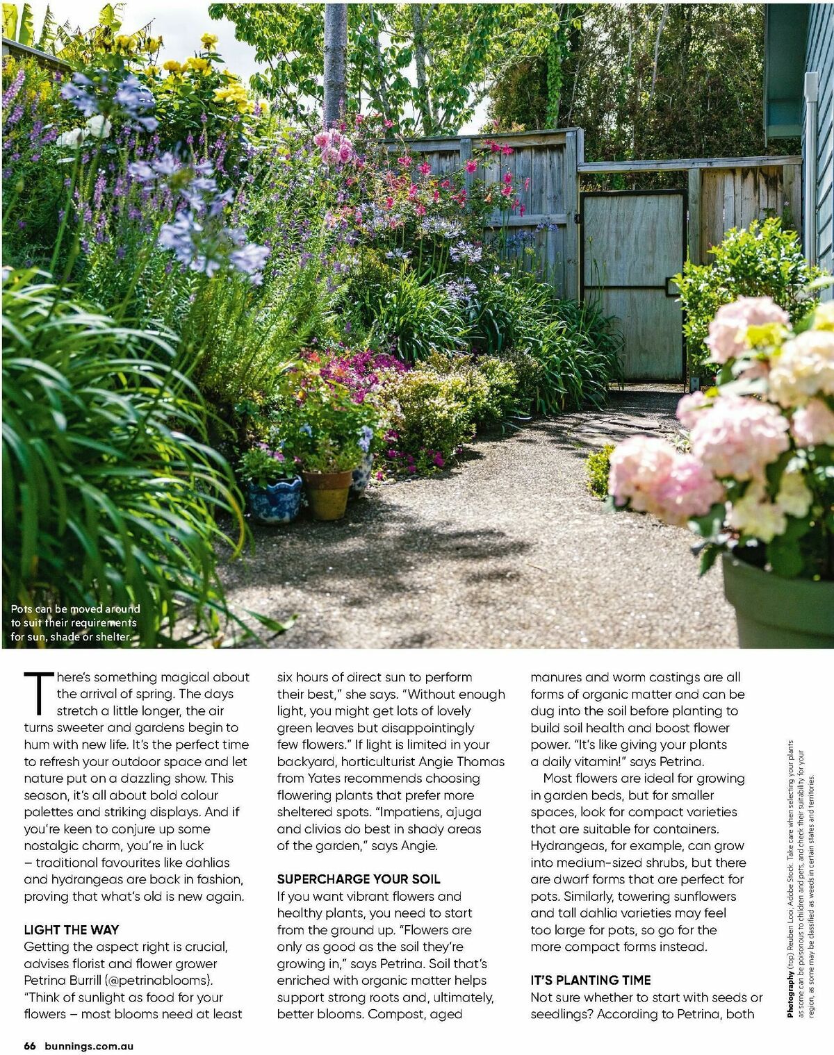 Bunnings Warehouse Magazine September Catalogues from 1 September