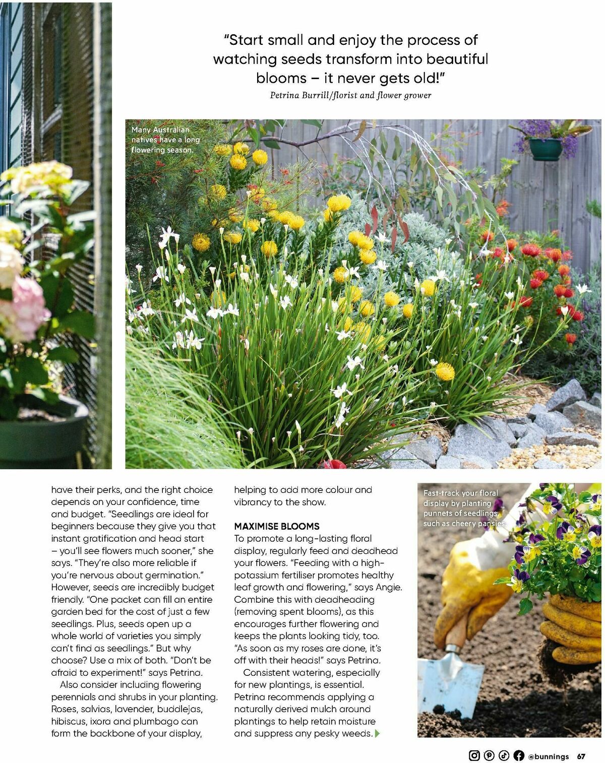 Bunnings Warehouse Magazine September Catalogues from 1 September