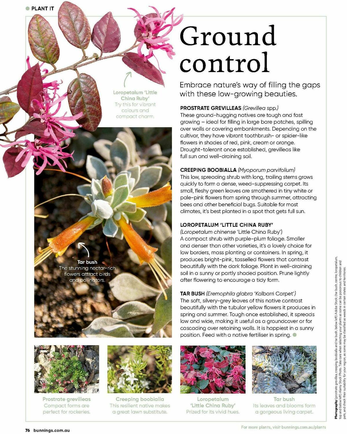 Bunnings Warehouse Magazine September Catalogues from 1 September