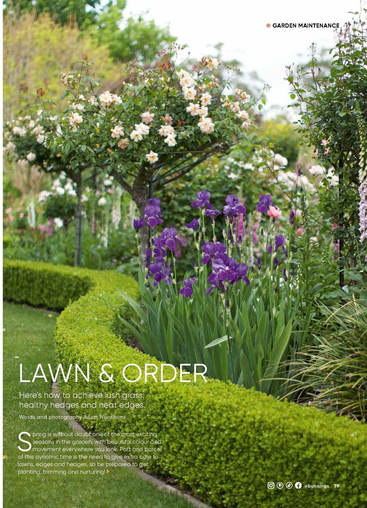 Bunnings Warehouse Magazine September Catalogues from 1 September