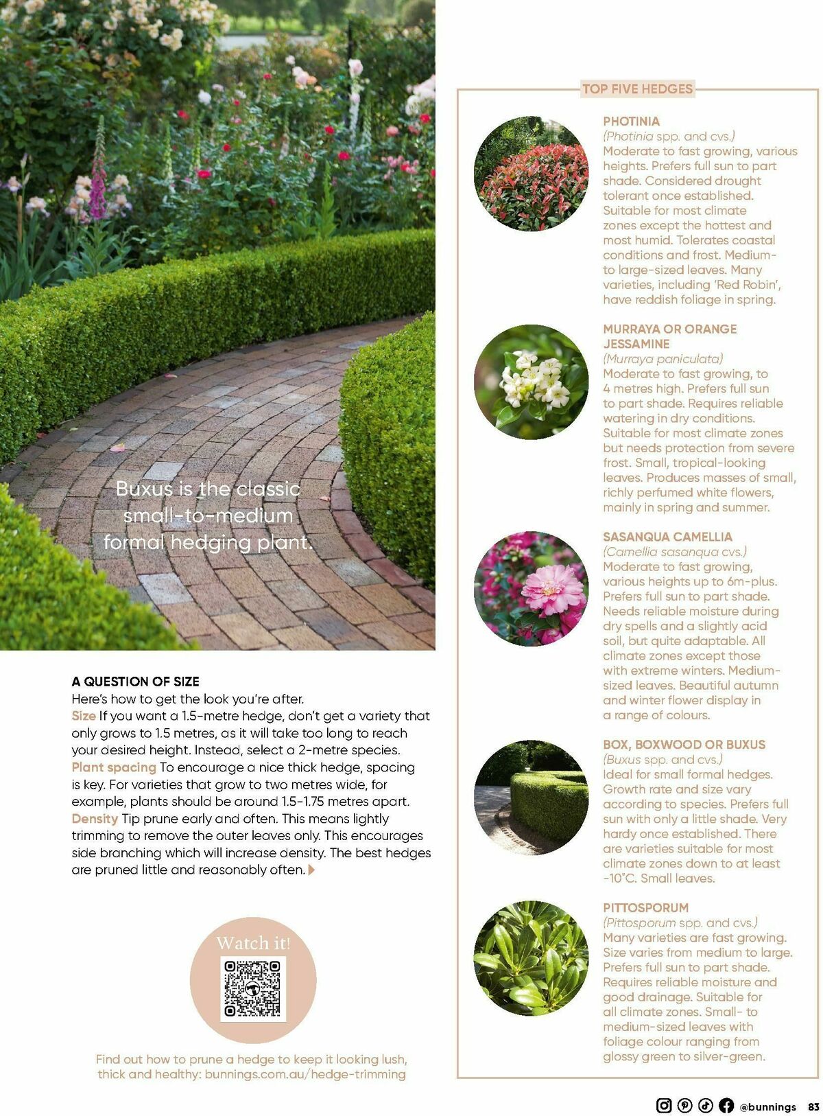 Bunnings Warehouse Magazine September Catalogues from 1 September