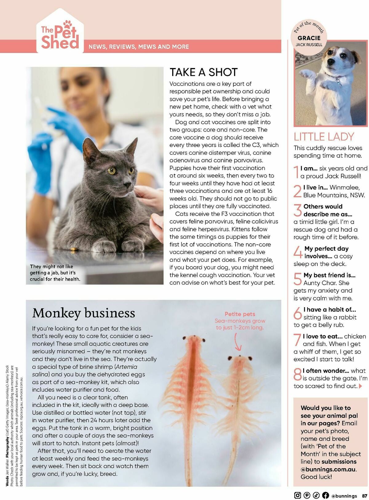 Bunnings Warehouse Magazine September Catalogues from 1 September