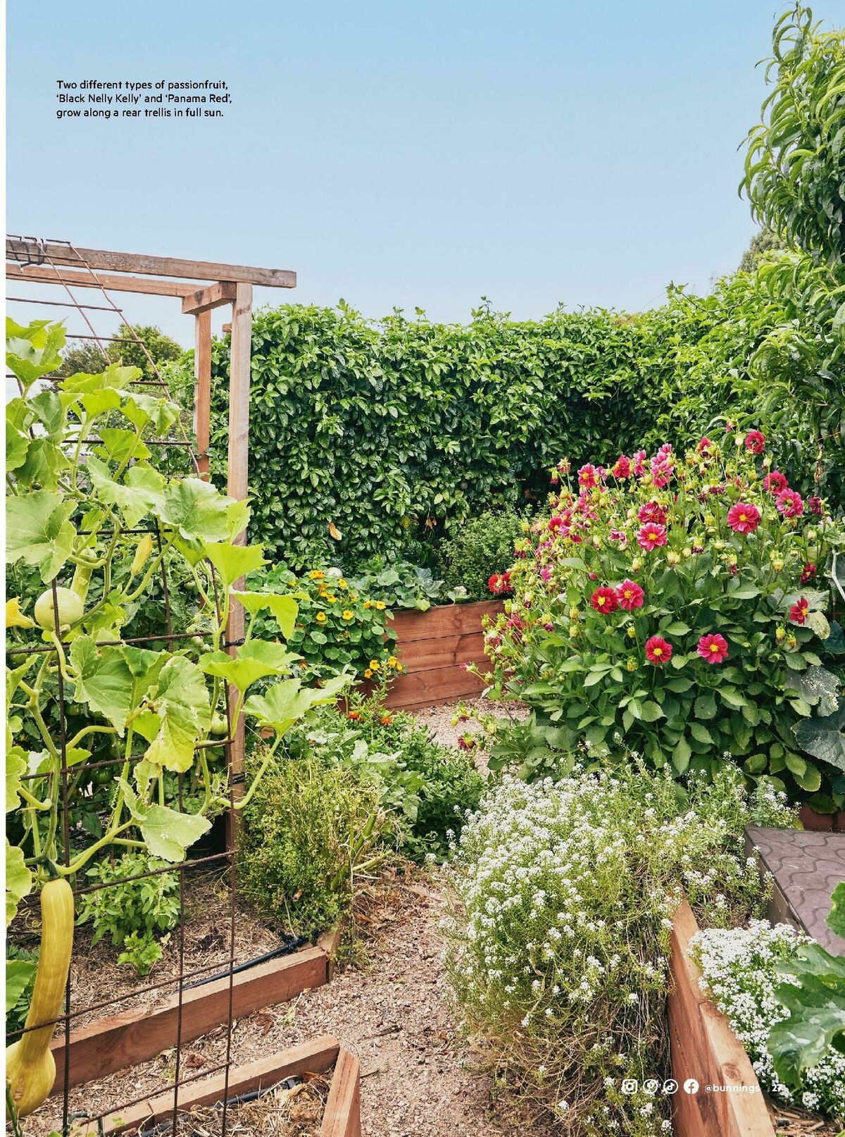 Bunnings Warehouse Magazine October Catalogues from 1 October